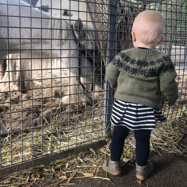 Lille Astrid og Albert strikkeopskrift børnebluse stjerne