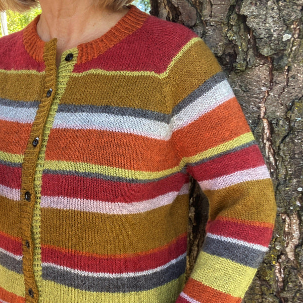 Hanne Larsen Strik Strikkeopskrift Astas Trøje